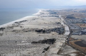 Coastal Honshu underwater. Photo courtesy of The Guardian