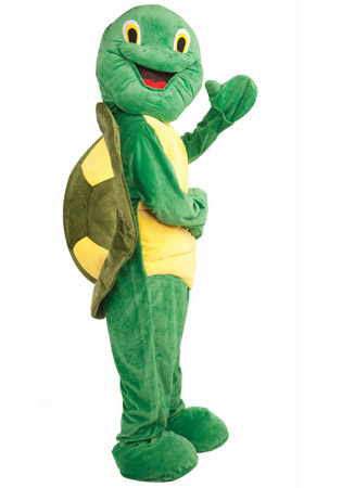011912-turtle