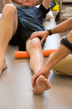 leg