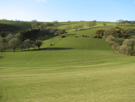 Kinloch farms