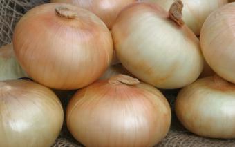 VidaliaOnions