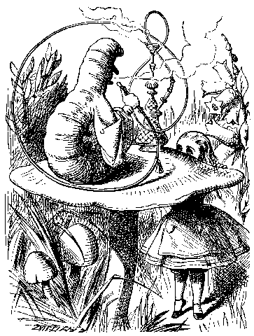 alice15