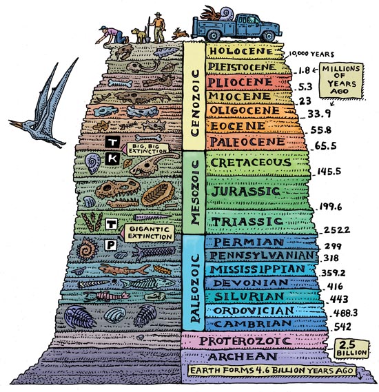 strata