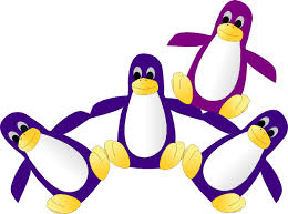 purple penguins-101414