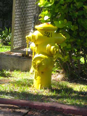 fireplug-013115