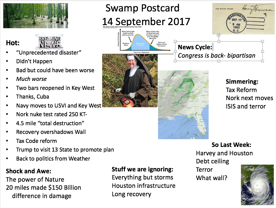 swamp13