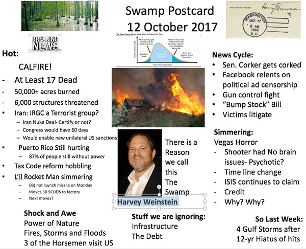 101117-swamp